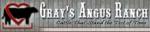 Gray Angus