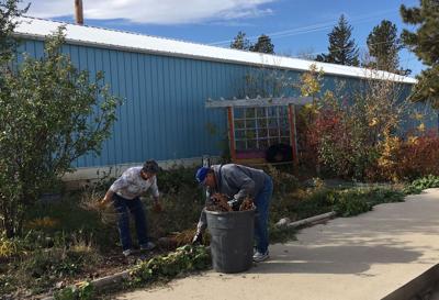 Lions Garden gets ready for winter sleep