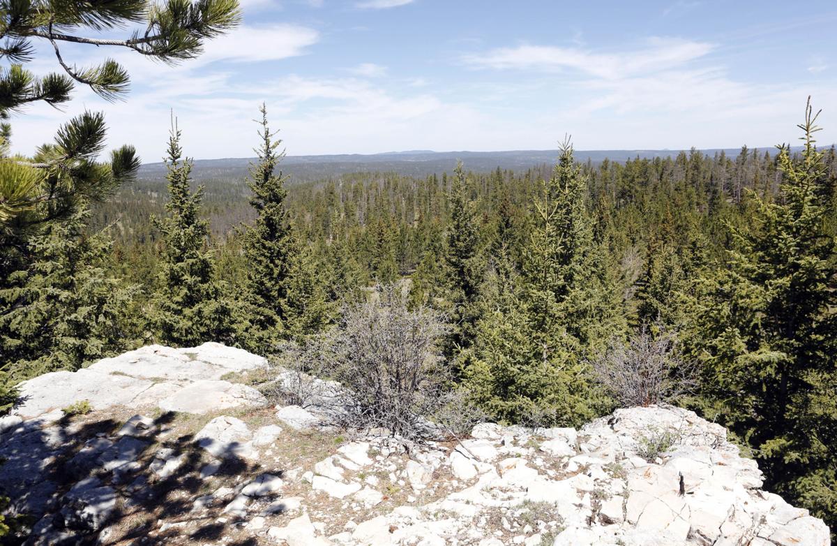 Eight Over Seven No. 5, Crooks Tower Local