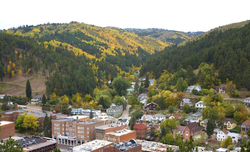 Deadwood aerial