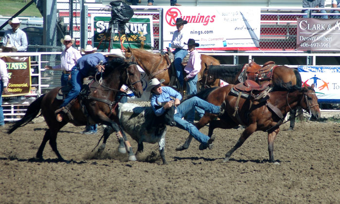 Lauing Wins Tiedown At SDHSRA State Finals