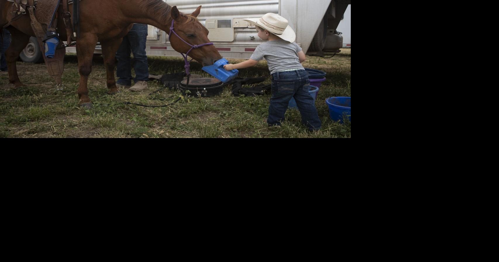 PHOTOS Action from the first day of the Buffalo Stampede Rodeo in Kadoka