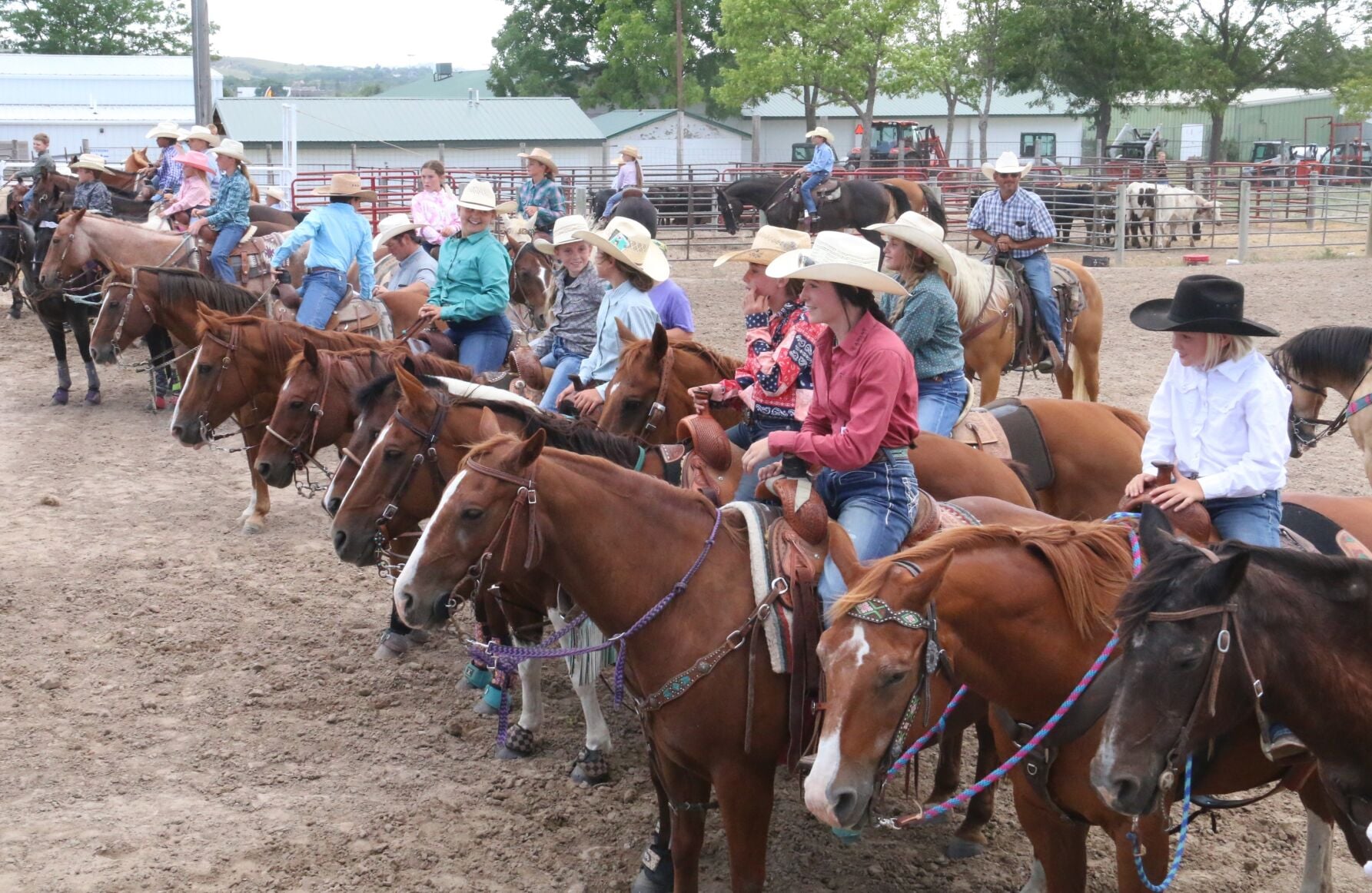 Fair--Lots of Horses _0001.JPG