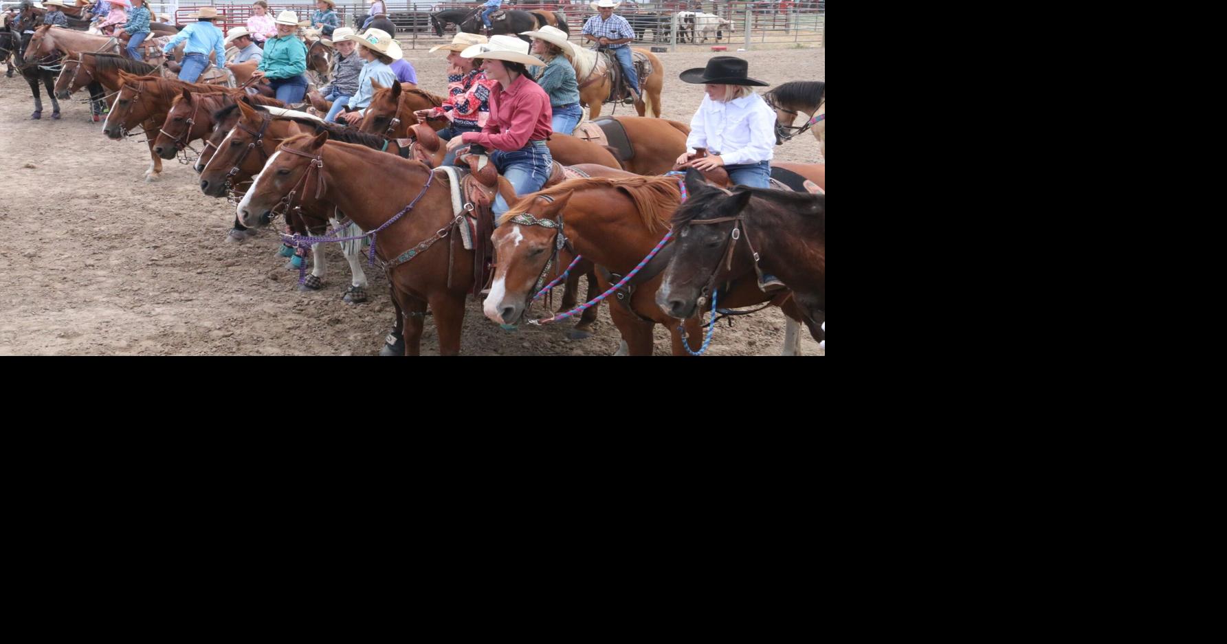 Fair--Lots of Horses _0001.JPG