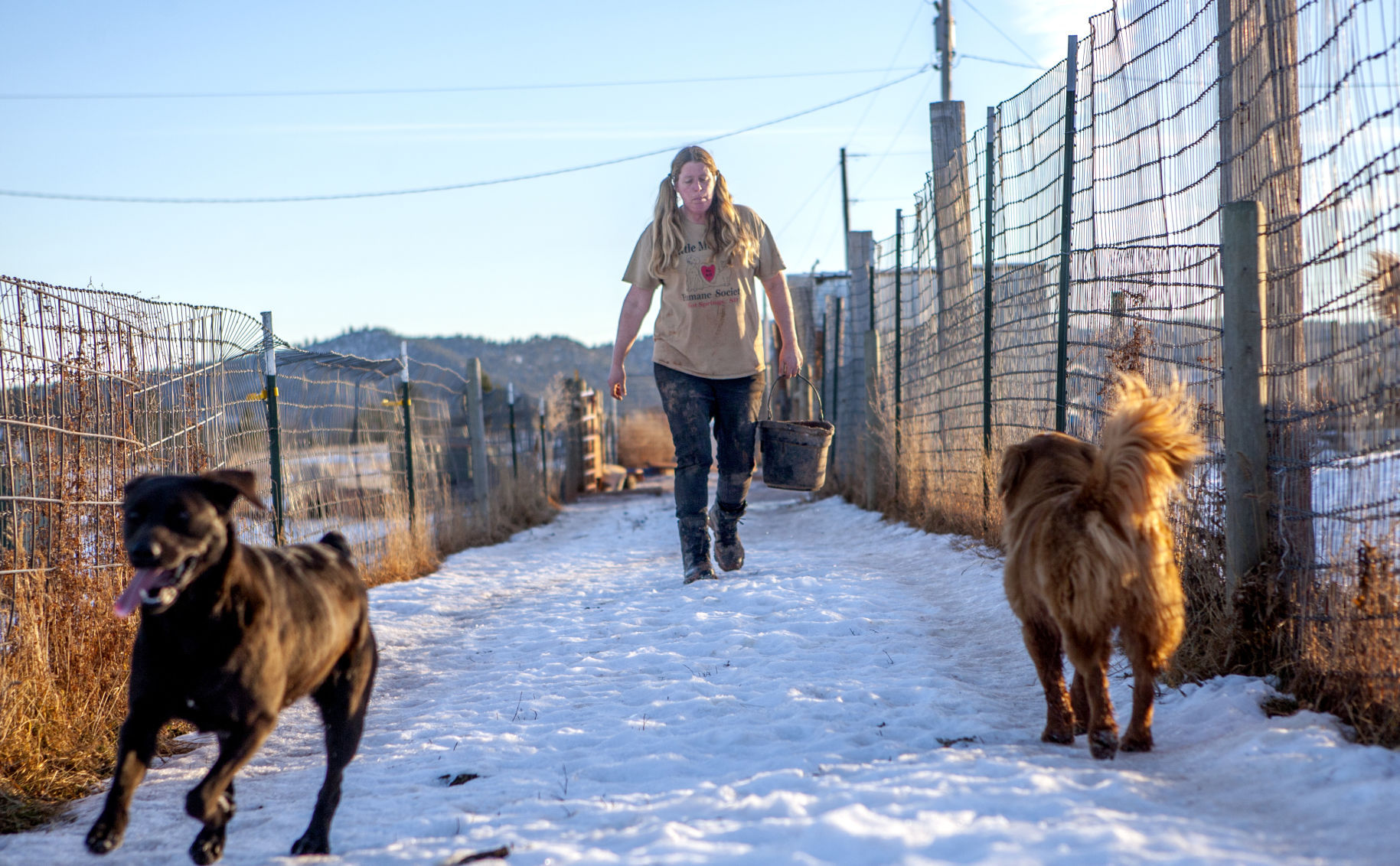 mountain home humane society