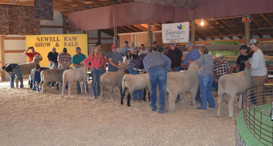 Newell Ram Show and Sale shows off