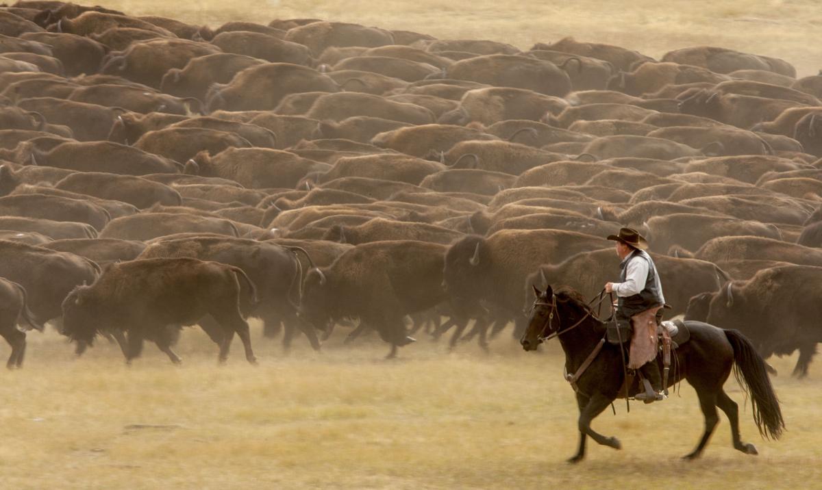 the herd is the word outdoors