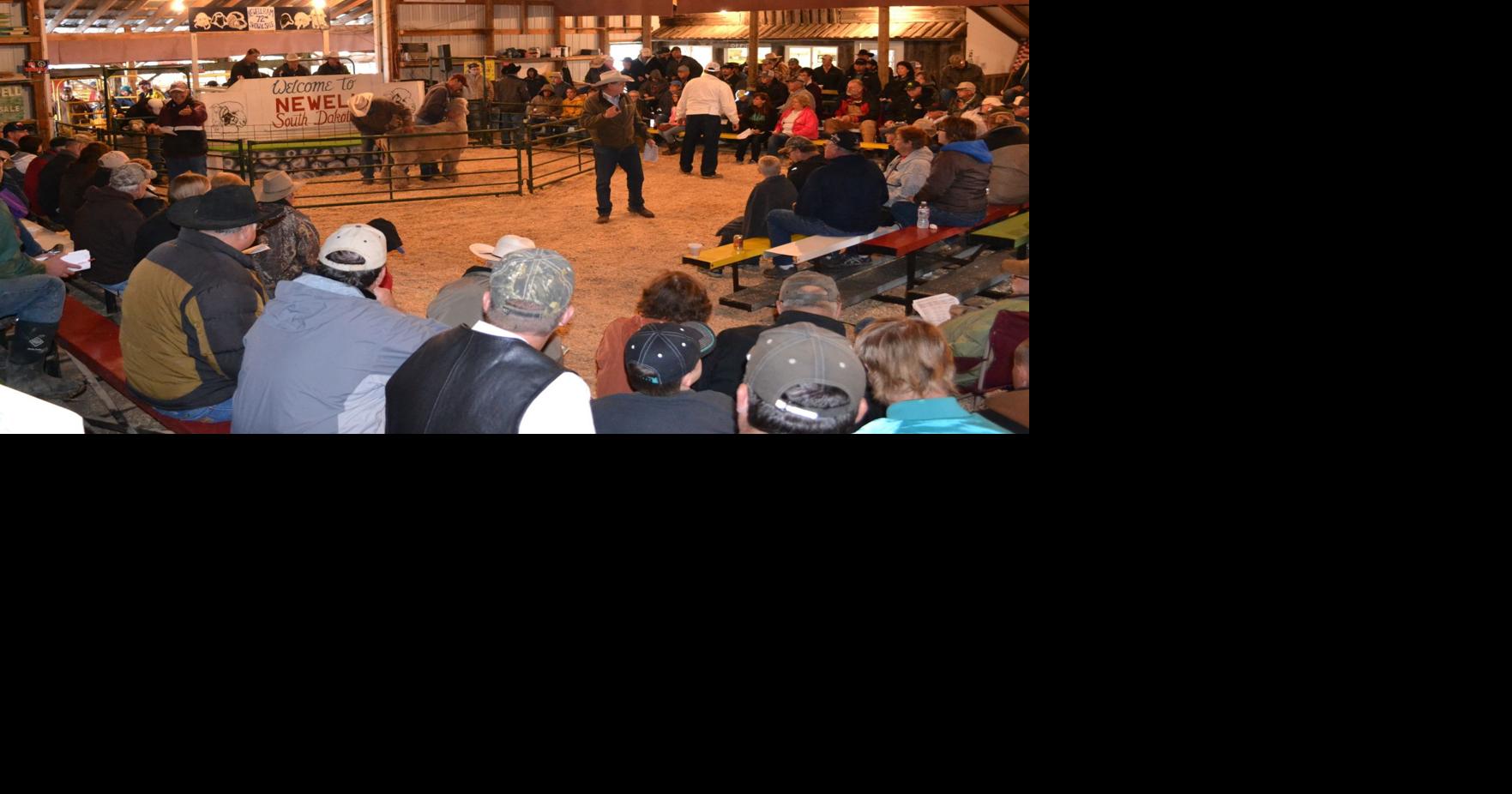 Newell Ram Show and Sale shows off