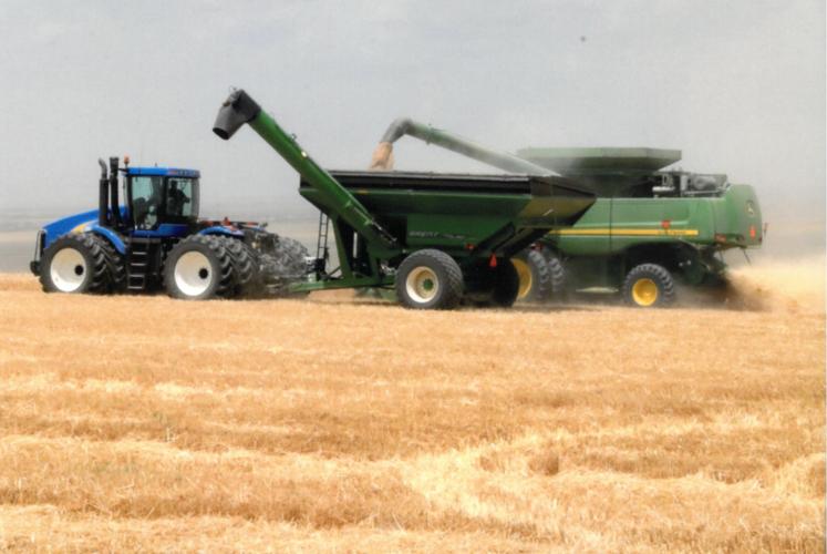 Harvest 1.jpg