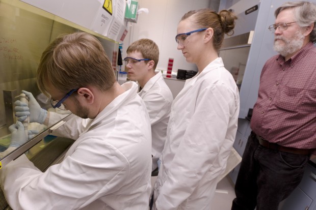 BHSU staff, students study Native medicinal plants to fight disease