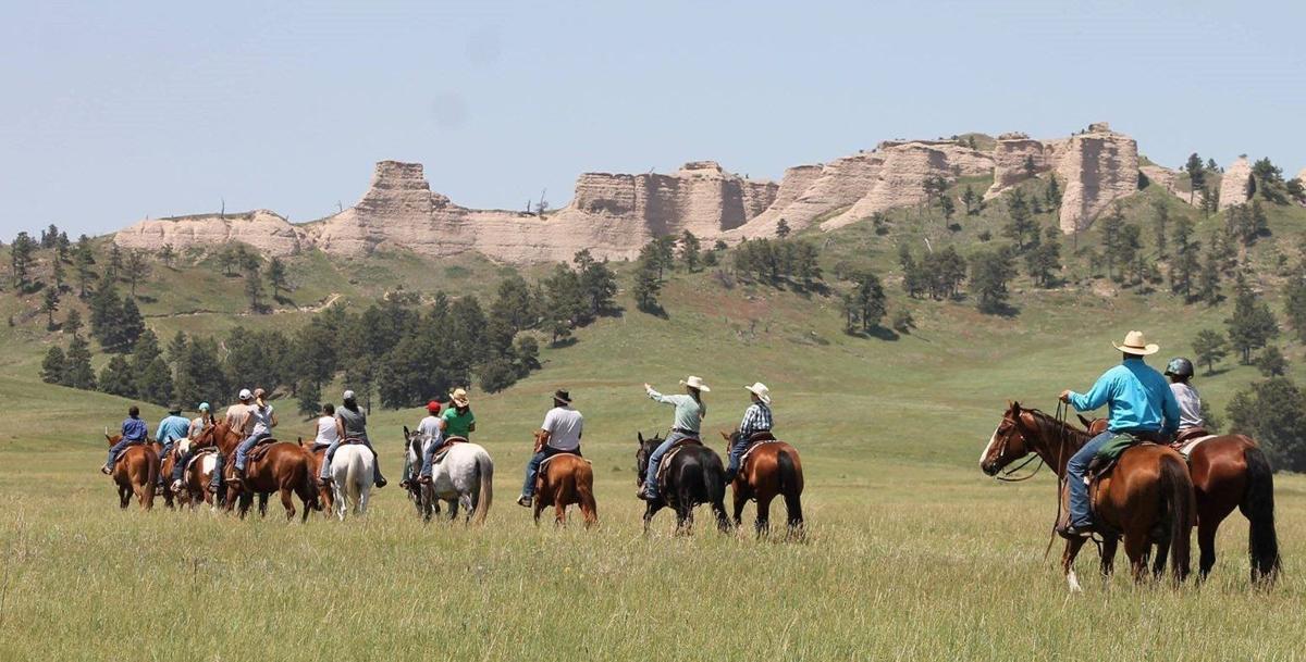 horse camp