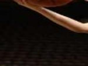 Ellis Mahoney Martin Rislov Honored By State S Sportswriters