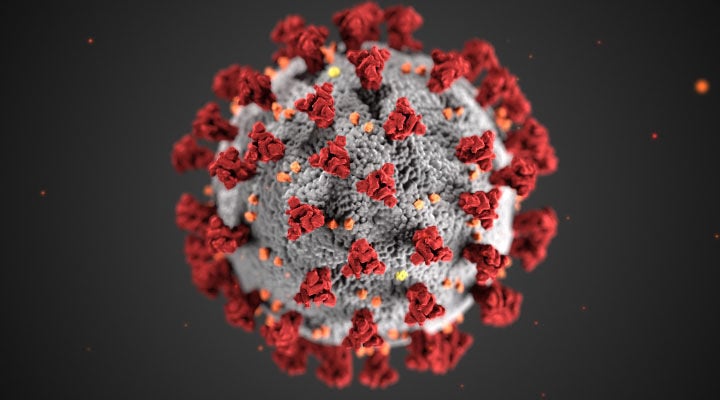 virus
