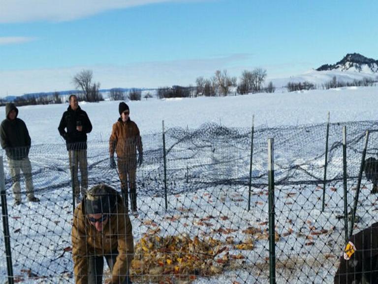 Weather Hits Wildlife Hard In Northwest South Dakota Local