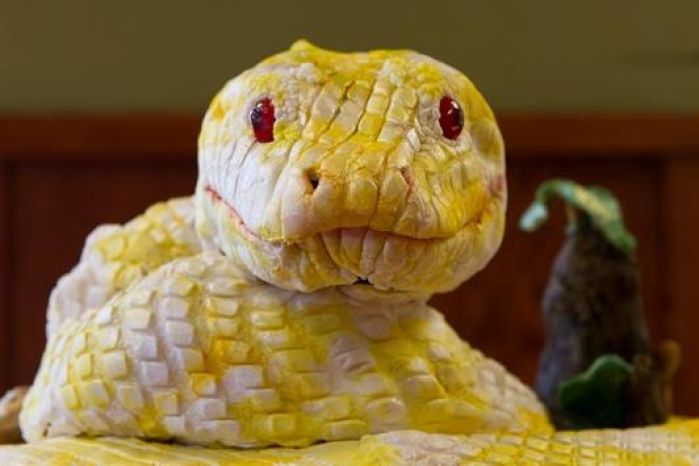 Snake Cake! Run for Your Lives! - Make: