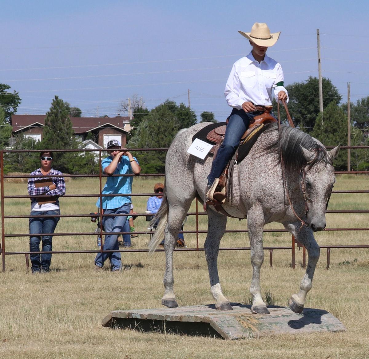 Dawes County Fair Results News