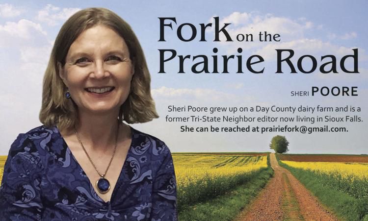 Born In A Barn Is A Compliment Agriculture Rapidcityjournal Com