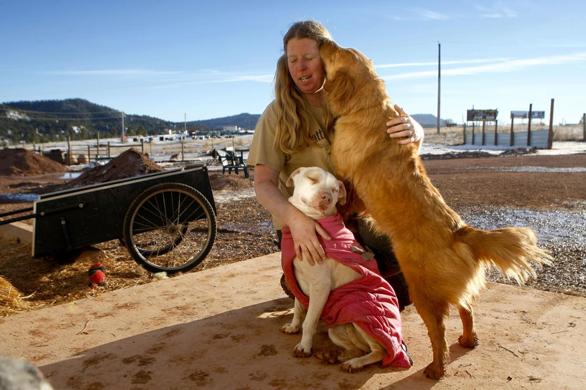Hot Springs animal shelter seeking financial relief Local