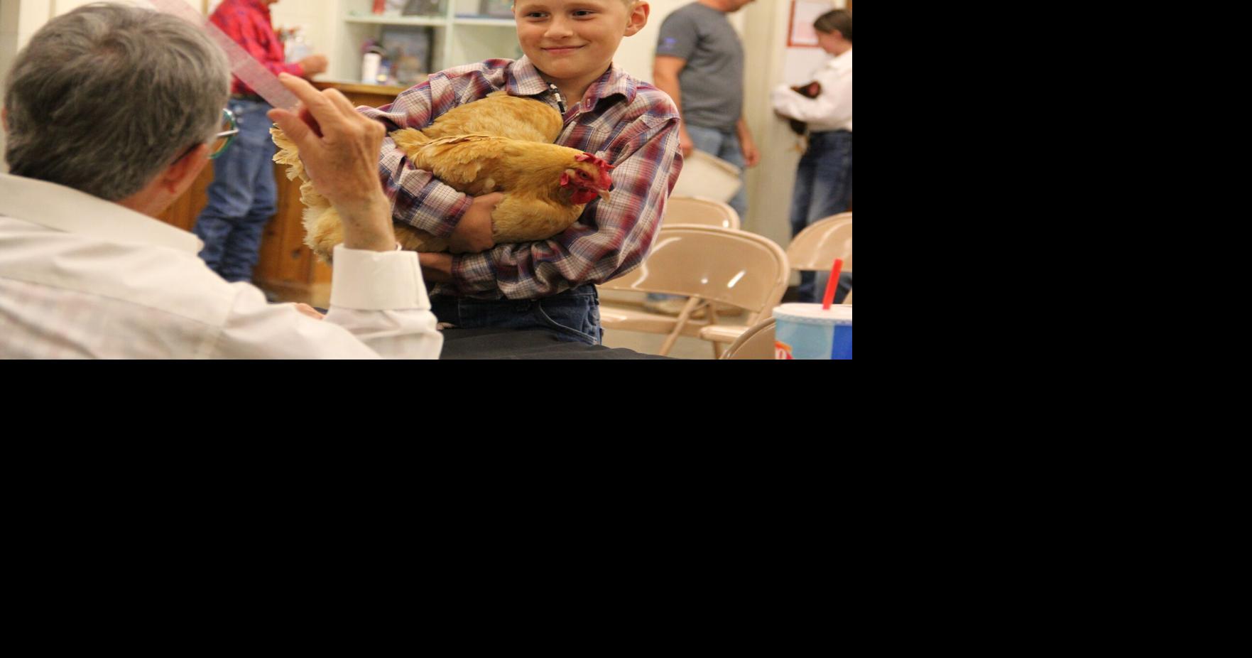 A few chickens and a duck: 4-H poultry show at fair holds on, participants see value in feathered friends Aug 28, 2026 7 mins ago