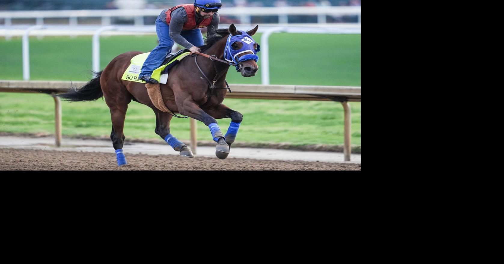 2026 Kentucky Derby contender So Happy works during a morning training session during Kentucky Derby week at Churchill Downs.
