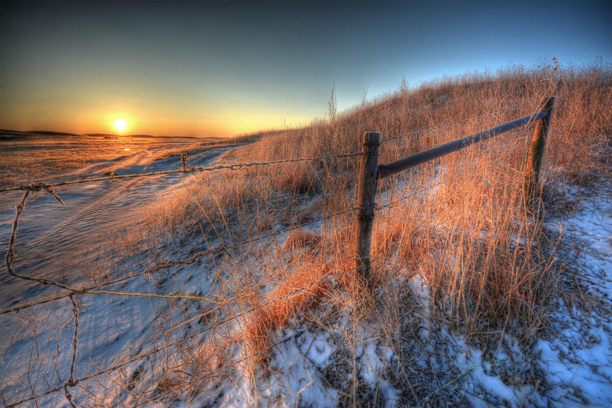 "Ocean of Grass" film highlights Nebraska ranch life News