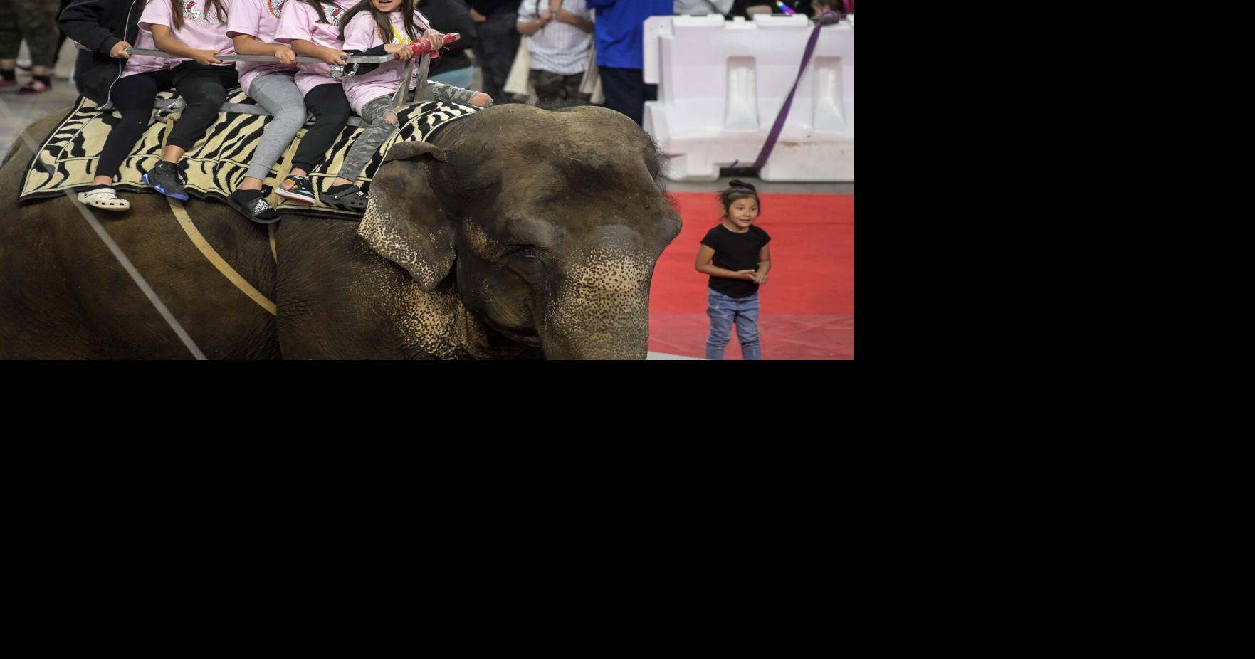 PHOTOS NAJA Shrine Circus returns to Rapid City