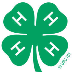 4-H clover