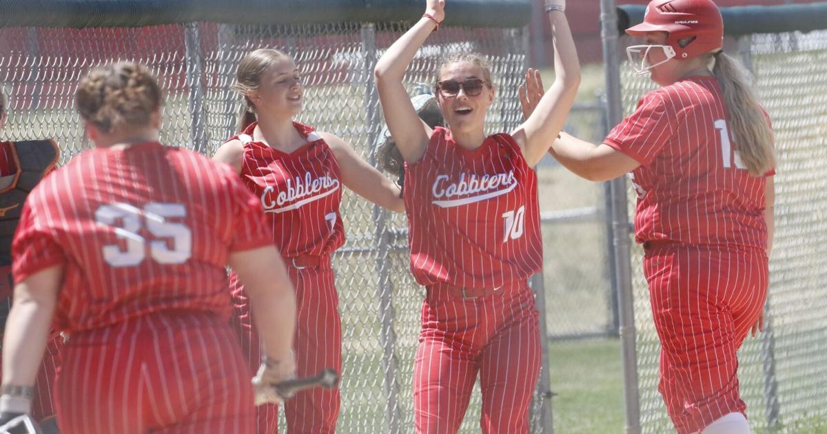 Coverage image for: Rapid City Central names Wayne Iddings as next softball head coach