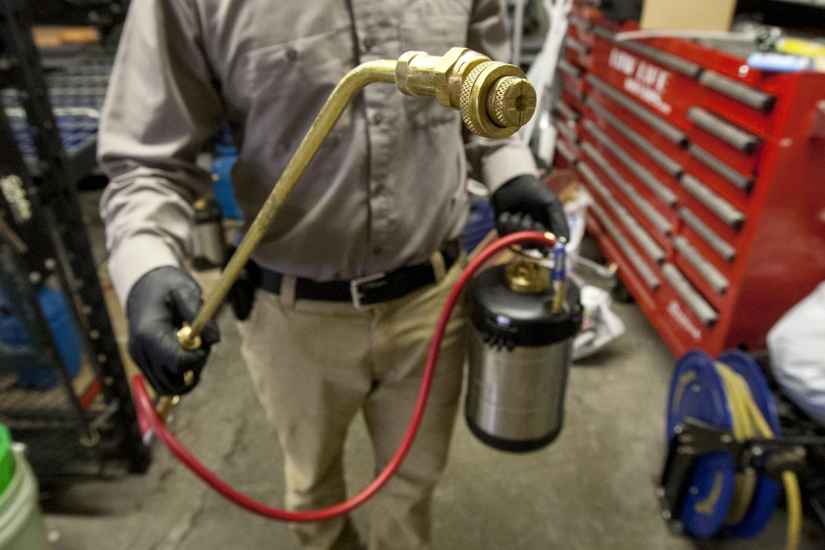 Dirty Jobs Pest Control Experts Take Care Of What S Buggin You Local Rapidcityjournal Com