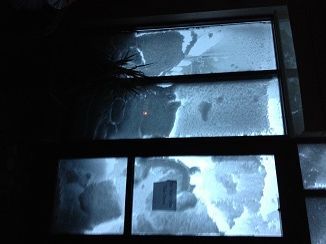 Blizzard 88