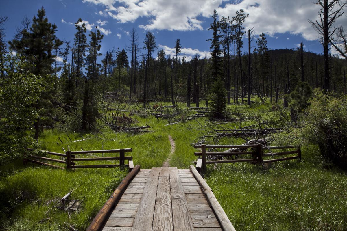 Lost Cabin Trail Local Rapidcityjournal Com