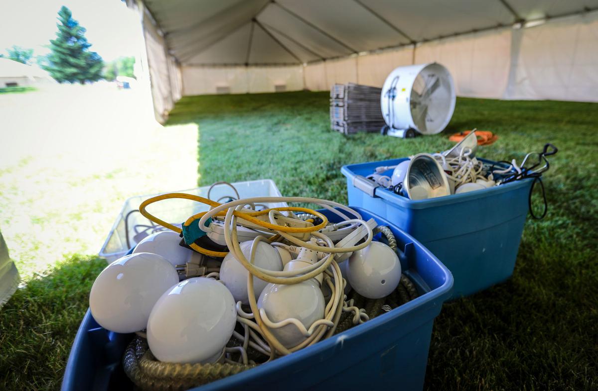 Hills Alive Gears Up For 34th Event Local Rapidcityjournal Com