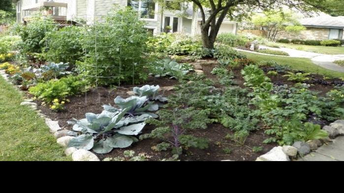 Gardener Within: Yards that go edible offer more | Lifestyles