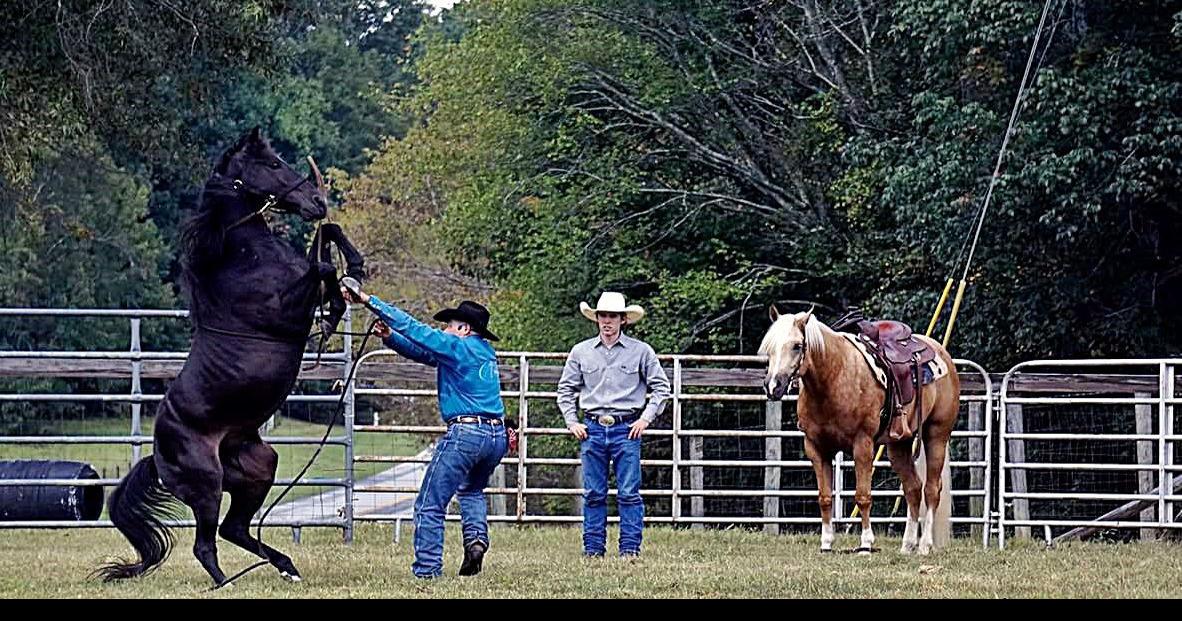 Horse whisperer demonstrates for people as much as animals