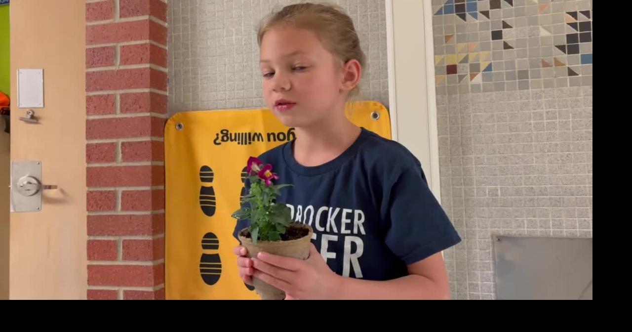 Grandview flower planting - Meredith
