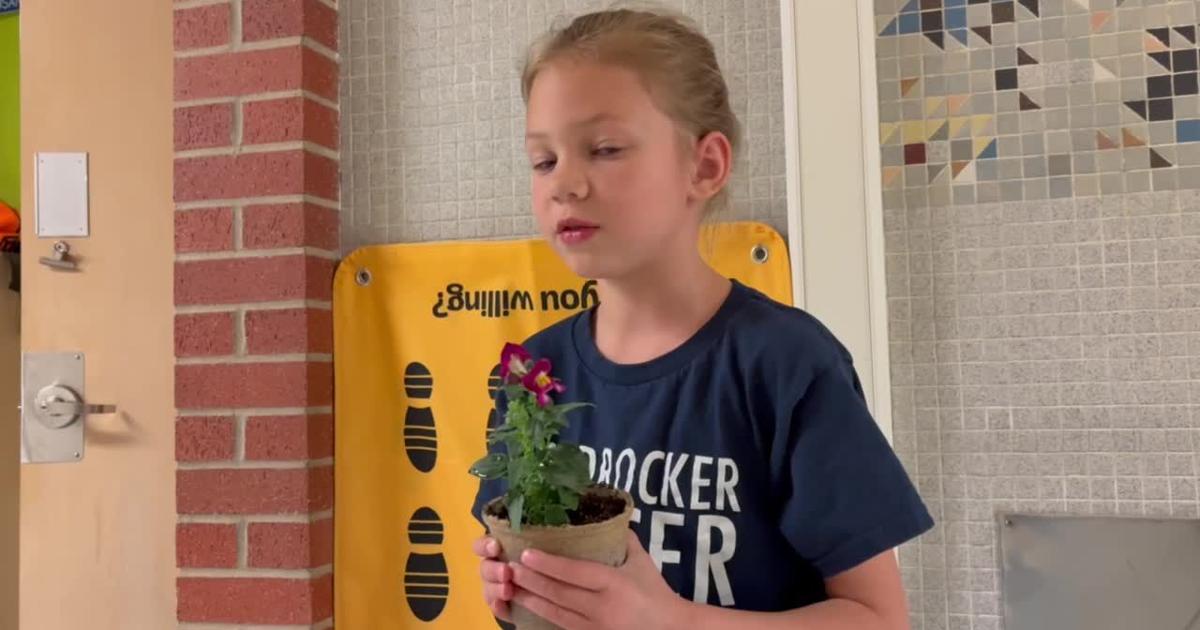 Grandview flower planting - Meredith