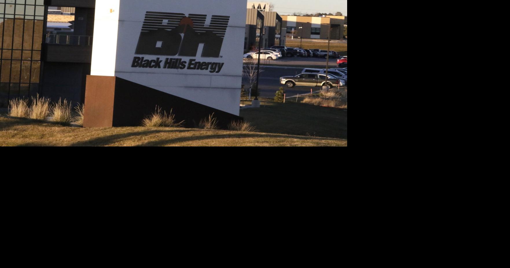 Businesses urge power merger, while consumers cite cost, reliability concerns