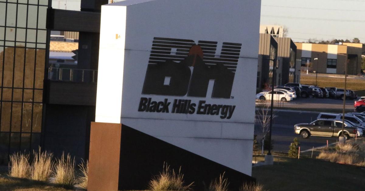 Businesses urge power merger, while consumers cite cost, reliability concerns