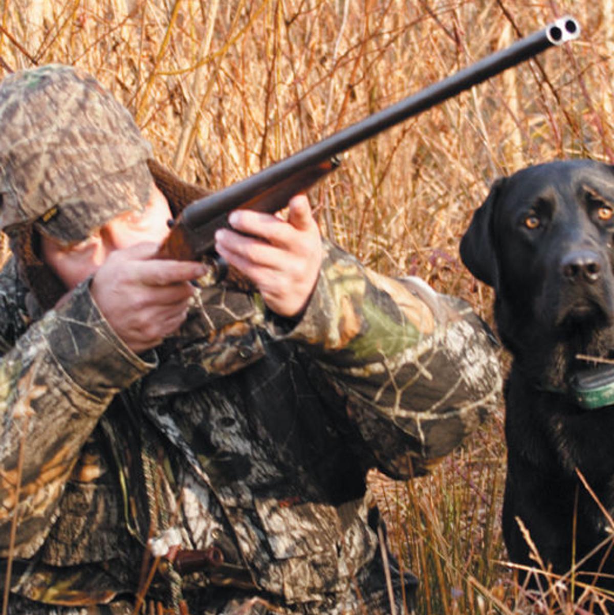 State Sees 1 15m Decline In Revenue From Sale Of Hunting Fishing revenue from sale of hunting fishing