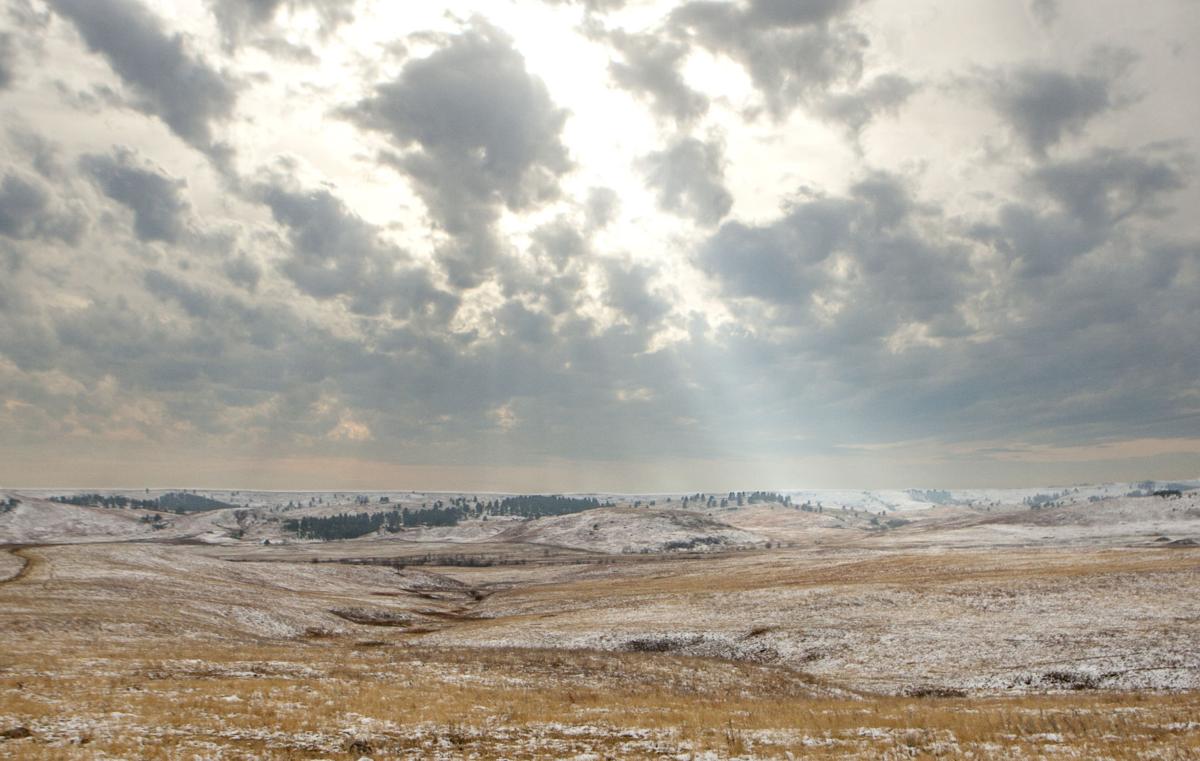 PHOTOS Snow scenes from Custer State Park Photos