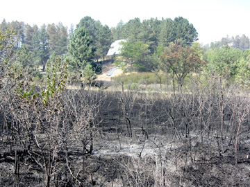 Norwesca post fire