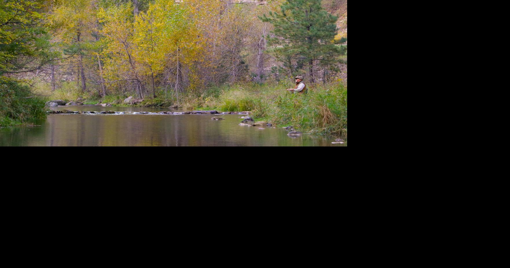 PHOTOS Spearfish Canyon's fall colors reach 50 of peak