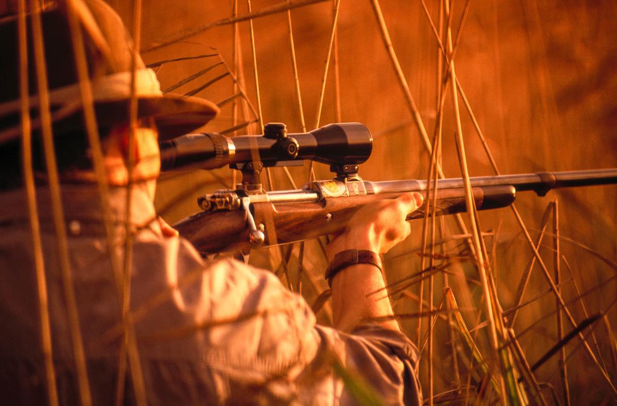 hunting