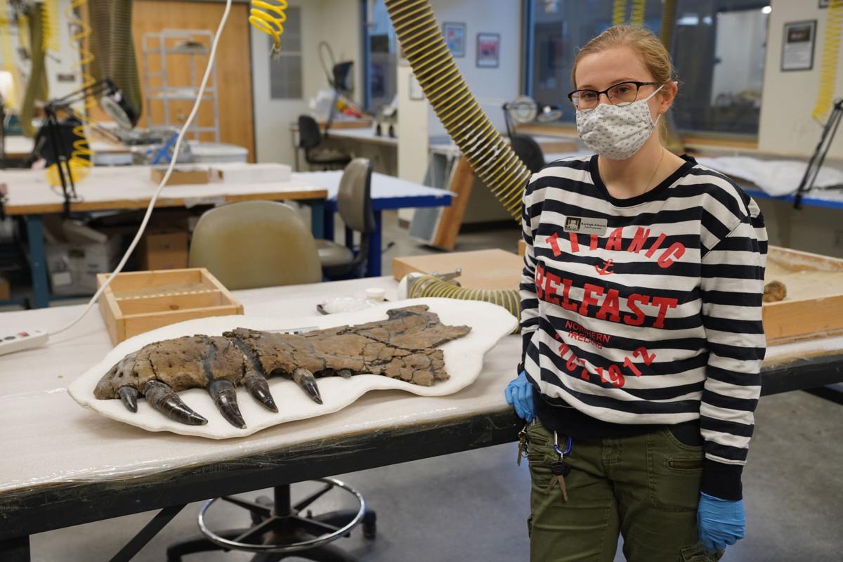 Kayleigh Johnson with Mud Butte T. rex.JPG