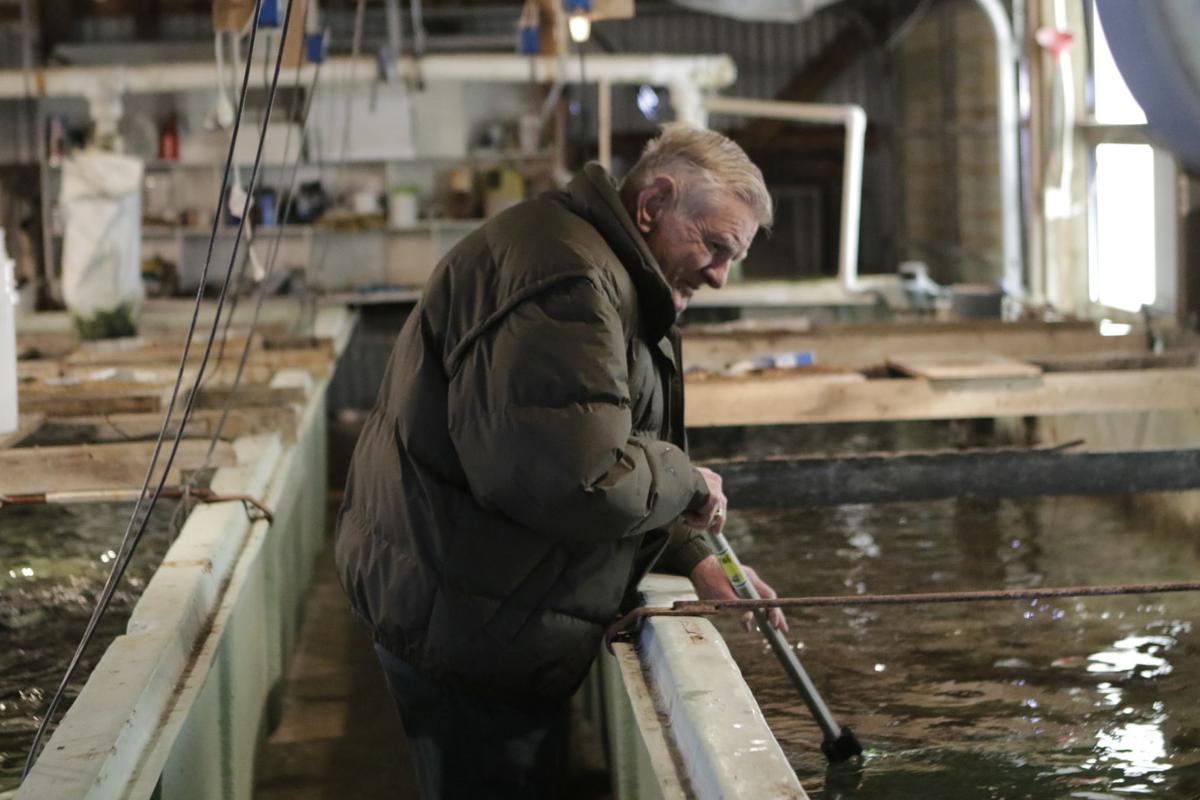 Lindstad Trout Farm now more than a hobby Sports