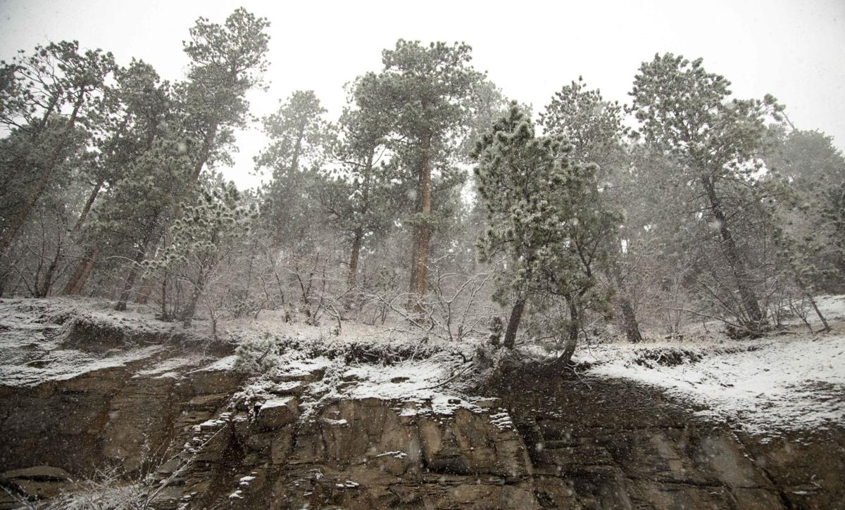 PHOTOS Snow falls on Spearfish Canyon and Rapid City