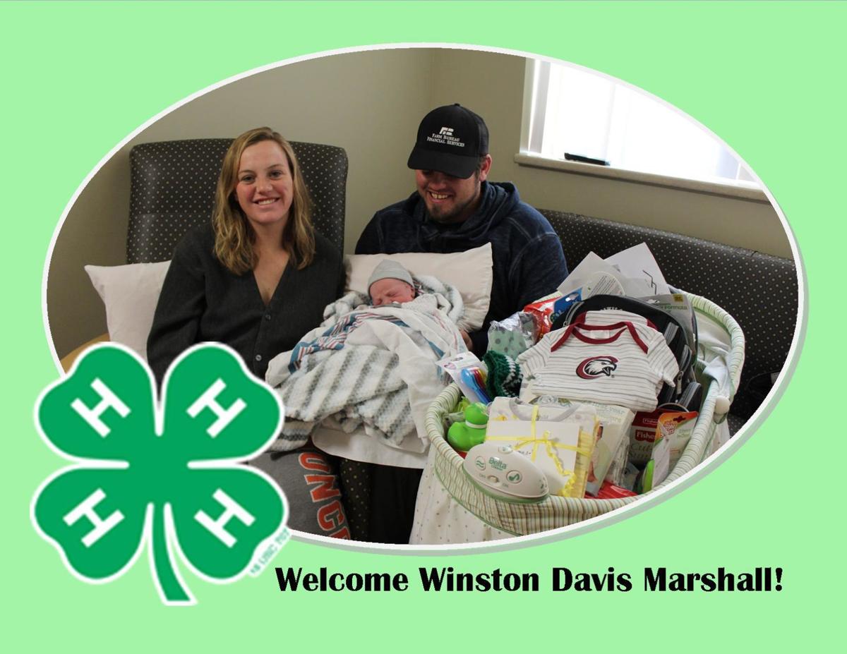 Winston Davis Marshall