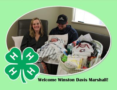 Winston Davis Marshall