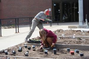 Master Gardener: Nebraska Wildflower Week is June 1-7