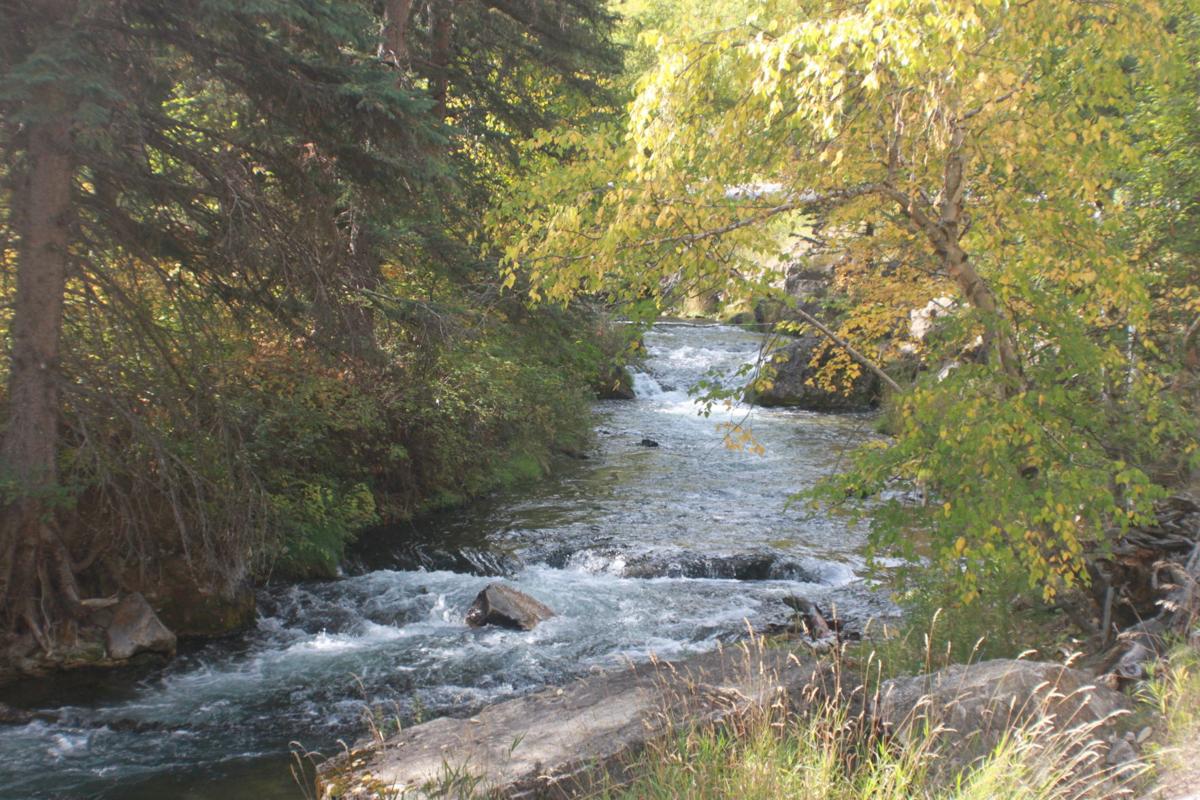 Creek and color